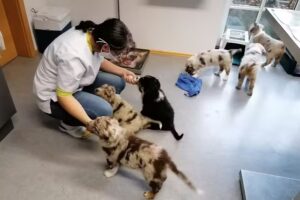 Mag. Martin Wiedemaier