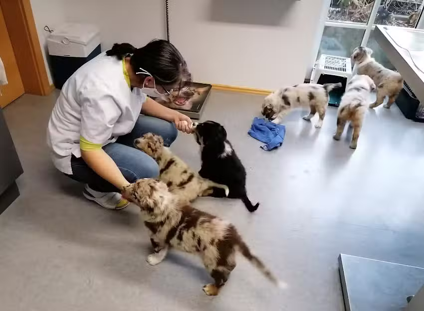 Mag. Martin Wiedemaier