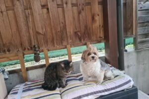 Mag med vet Eibl Christian