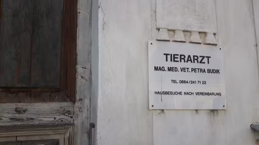 Mag. Petra Budik