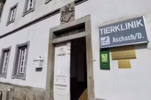 Mag. Siegfried Arthofer