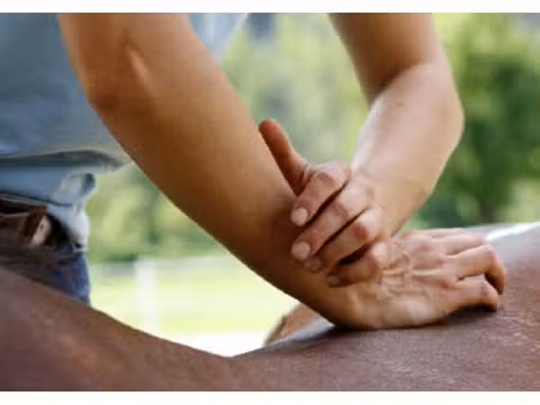 MOBILE PFERDEPRAXIS DR. LORENZ