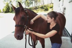 Move in Balance – Alternativmedizin für Tiere