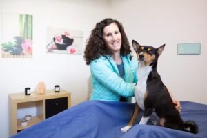 Ordination Dr. de Cillia