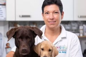 Ordination Elke Antl – ganzheitliche Tierarztpraxis – Furth bei Göttweig