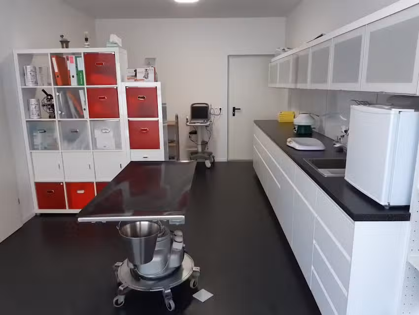 Pferde- und Kleintierpraxis Rennstein