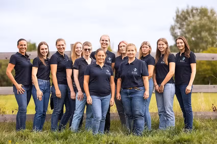 Pferdeklinik Kottingbrunn & Tierarztpraxis Steininger