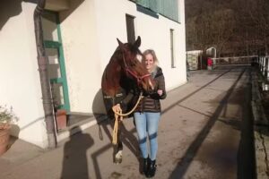 Pferdeklinik Pegasus