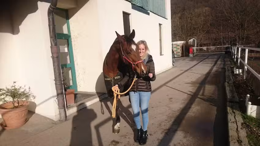 Pferdeklinik Pegasus