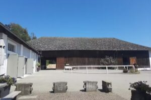 Pferdeklinik Tillysburg