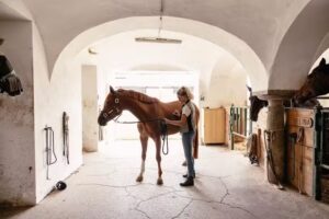 Pferdemedizin Dr. Verena Zehetner