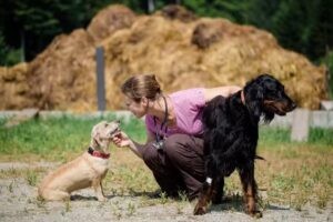 Pferdepraxis Lilo Pritz