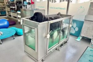 PhysioTierärztin Mag. Martina Süss mit HundeFitnessCenter