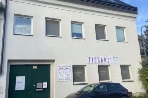 Praxis für Kleintiere Mag. Alexandra Tomsich