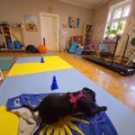 SK-VET Tierarztpraxis – Mag. Sibylle Karpf