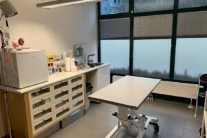 Tierambulanz Türkenschanzplatz