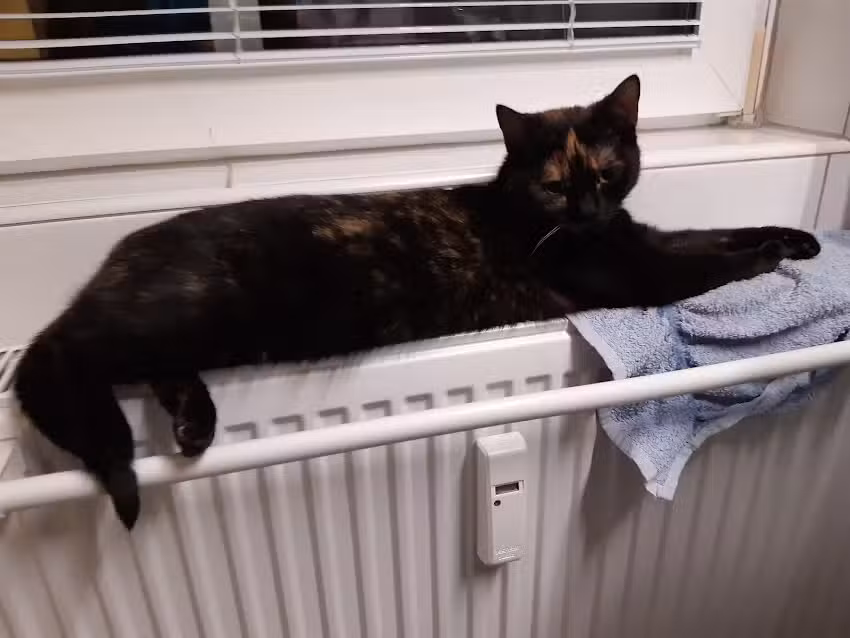 Tierambulatorium Mateschitz