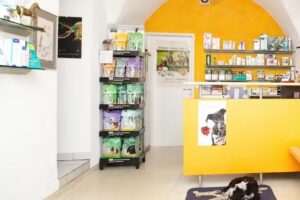 Tierambulatorium Zirl, Dr.med.vet Stefan Ferschl, MSc, Fachtierarzt für Kleintiere