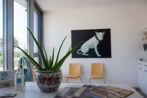 Tierarzt DAVOR – Preradovicstraße