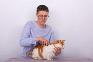 TIERARZT LAXENBURG DR. ASTRID NAGL