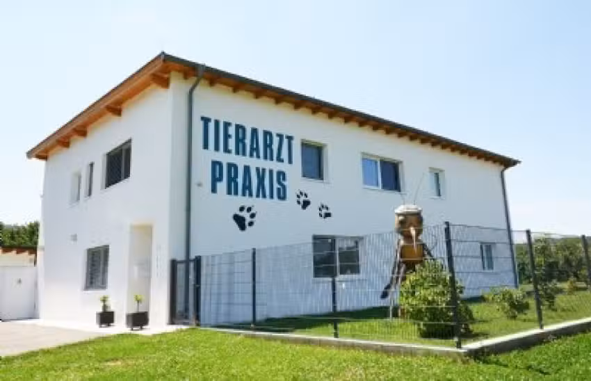 Tierarzt Praxis Diplom Tierärztin CCRP Jutta Schlapschy