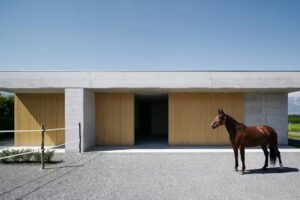 Tierarzt-Praxis für Pferde Dr. med. vet. Robert Griss