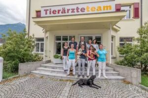 Tierärzteteam