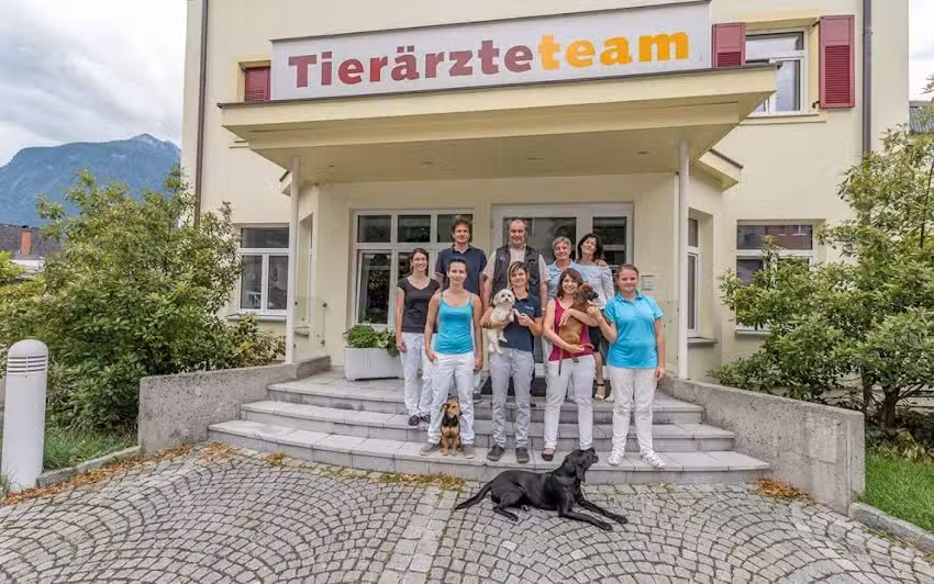 Tierärzteteam