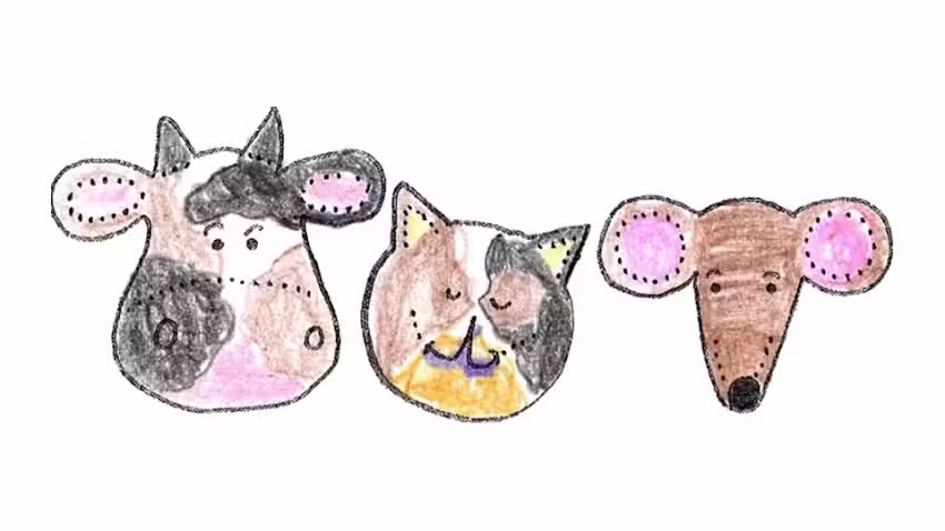 Tierärztin Mag. med. vet Nina Geppert