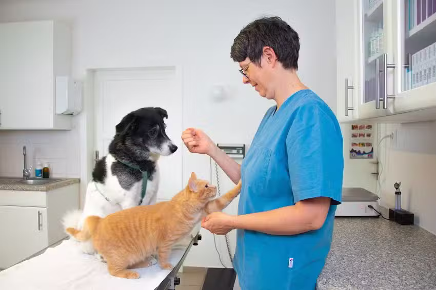 Tierärztliche Ordination Neumarkt/Ybbs