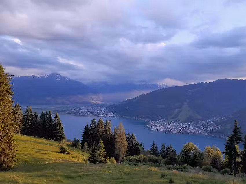 Tier&auml;rztliche Praxisgemeinschaft Dr. Gebhard Korber