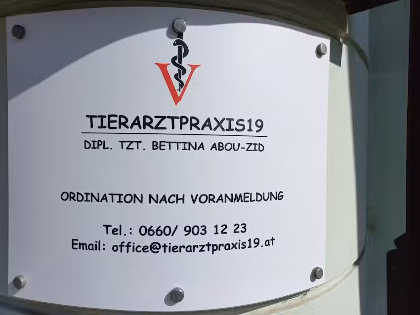 Tierarztpraxis 19