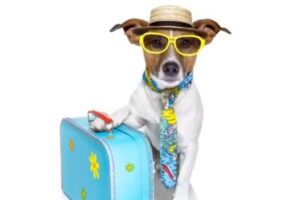 TIERARZTPRAXIS ALTENMARKT Dr. Elisabeth Müller