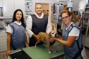 Tierarztpraxis am Floridsdorfer Markt – Tierarzt Milenkovic