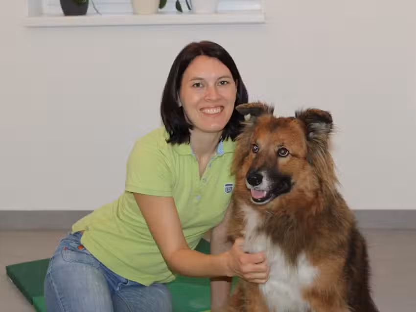 Tierarztpraxis Andrea Fischer &ndash; Akupunktur, Chiropraktik und Alternativmedizin