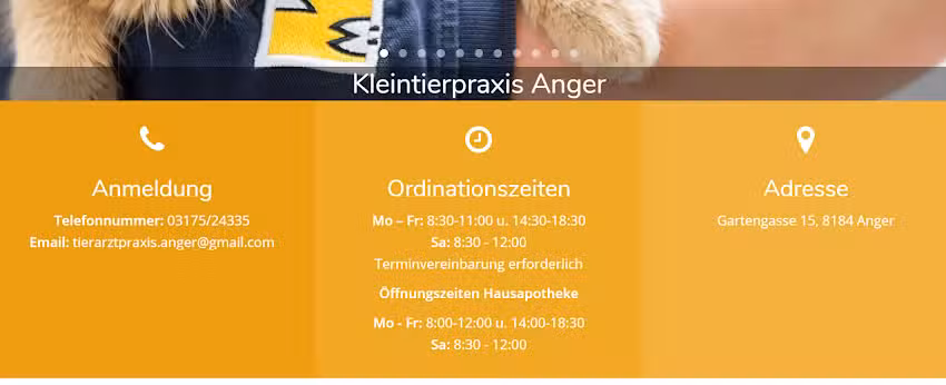 Tierarztpraxis Anger &ndash; Kleintiere