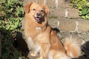 Tierarztpraxis Arsenal – Verena Roffol