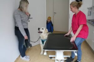 Tierarztpraxis Cirulnikova & Lagler