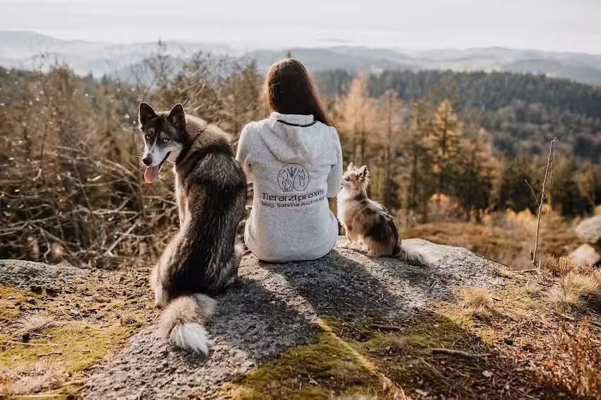 Tierarztpraxis Dimbach &ndash; Mag. Sabrina Aschauer