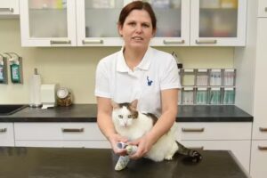 Tierarztpraxis Diplomtierärztin Dr. Bettina Rumpler