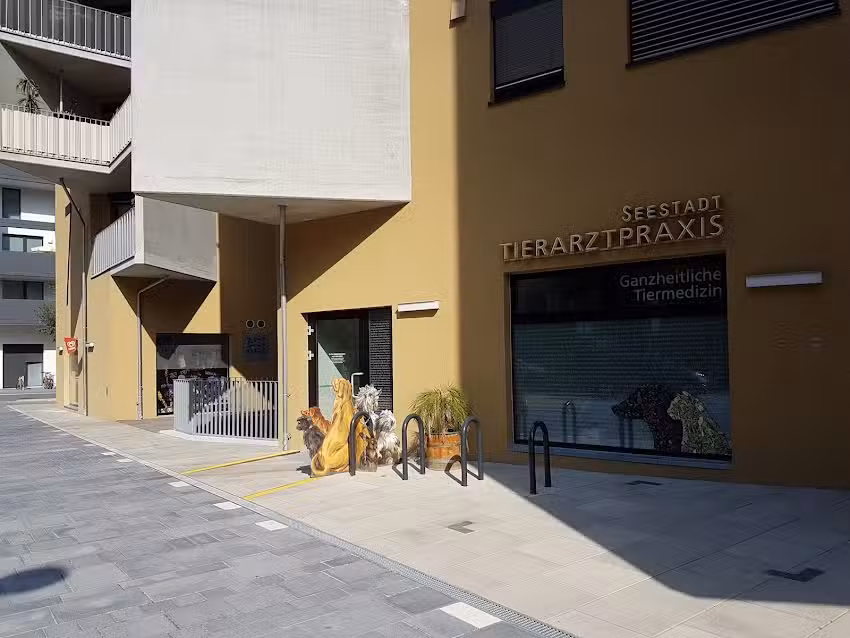 Tierarztpraxis Dr. Eva Gollob-Kammerer Seestadt