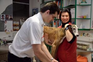 Tierarztpraxis Dr. Florian Teufel