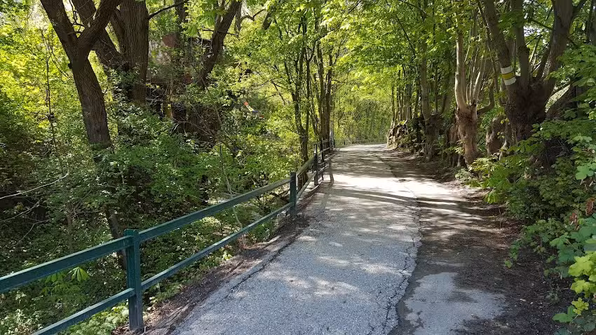 Tierarztpraxis Dr. Isabella Copar und Mag. Regina Bregenzer