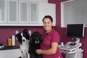 Tierarztpraxis Dr. Natascha Ille