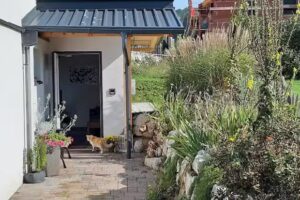 Tierarztpraxis Dr. Sandra Hauer-Lechner