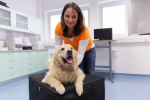 Tierarztpraxis Dr. Sigrid Riener