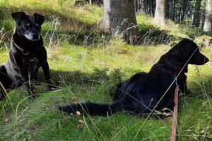 Tierarztpraxis Elterleinplatz