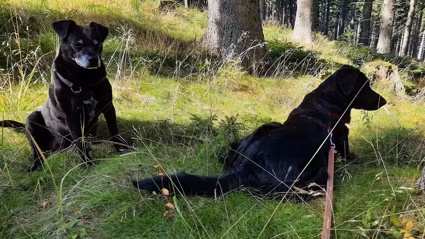 Tierarztpraxis Elterleinplatz