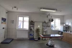 Tierarztpraxis Freistadt Dr. Jan Stary e.U.