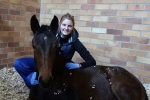 Tierarztpraxis für Pferde Nina Luisa Höck